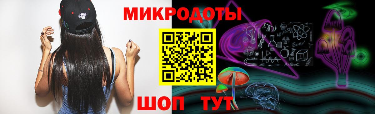 Галлюциногенные грибы Psilocybe Лысьва